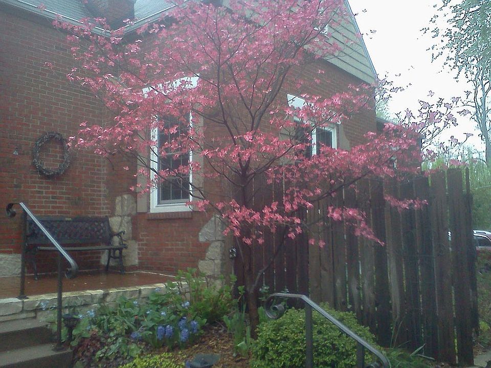 2nd image of 128 E Ellington Dr