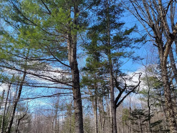 Lot #6 Hardwood Ridge Road Road, Deblois, ME 04622