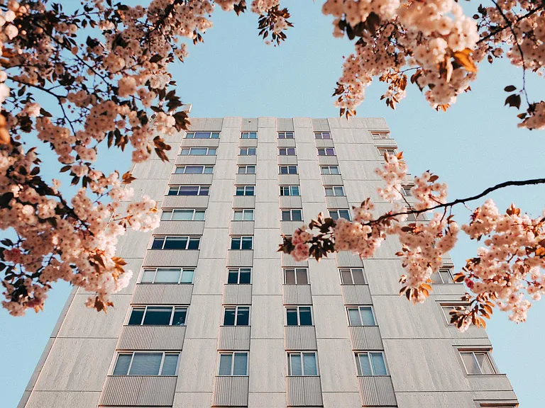 Park Tower Apartments — Photo 50