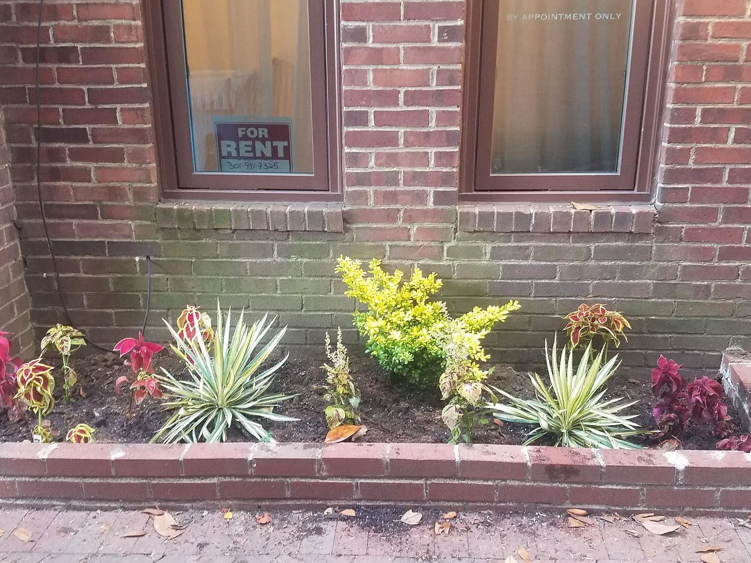 2 bed, 700 sqft, $3,600 — Photo 2