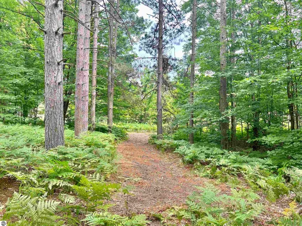 0 Thomas Rd SW, South Boardman, MI 49680