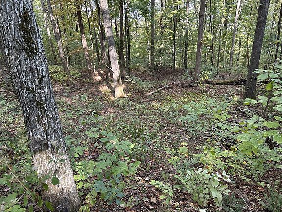 3rd image of 0 Fox Ridge Road