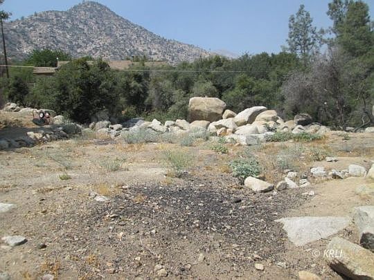 3rd image of Pine Dr
