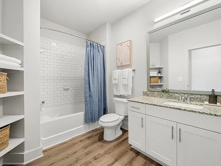 Phase II Guest Bathroom