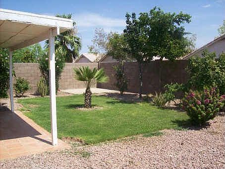 Backyard Lawn