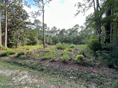Walnut St Lot 433, Ocean Springs, MS, 39564