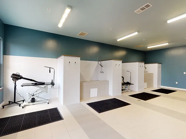 2550 Blackmon Dr — Photo 42