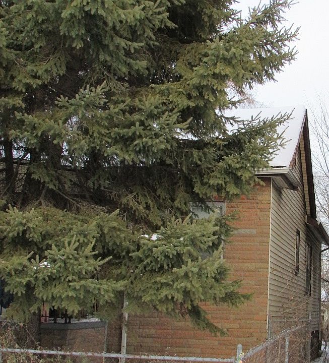2nd image of 5856 Garland St