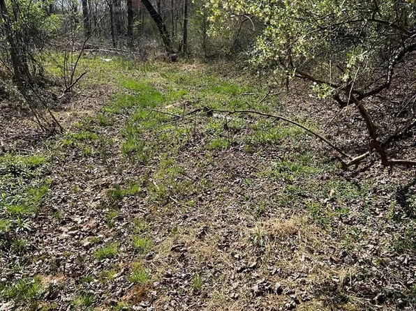 0 Saddleridge Rd, Bassett, VA 24055