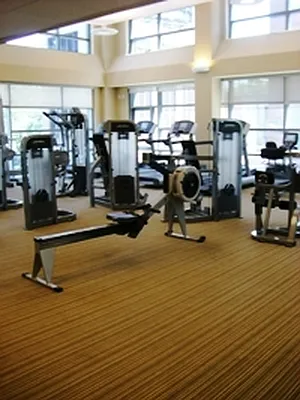 Rented by Lisa Management | media 45