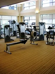 Rented by Lisa Management