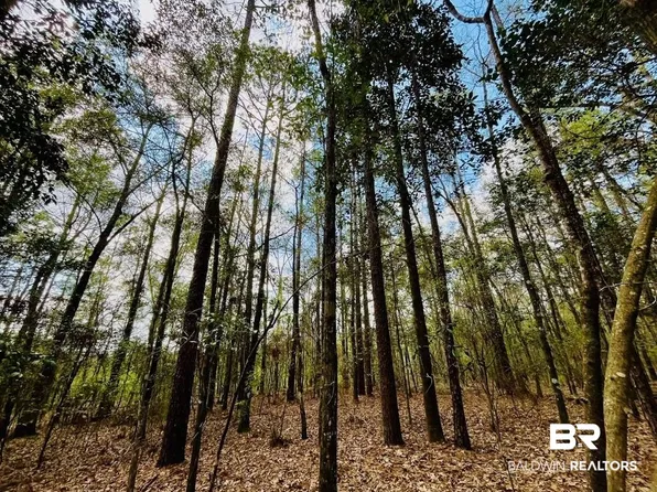 2 Phillipsville Rd, Bay Minette, AL 36507