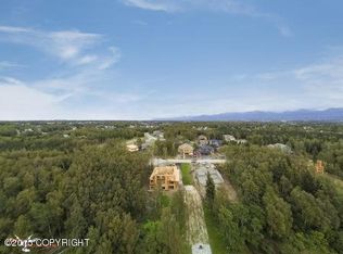 L13 B1a Easter Island Cir, Anchorage, AK 99515