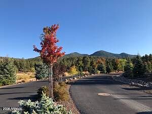 2nd image of 1021 STONE HOLLOW Loop #2