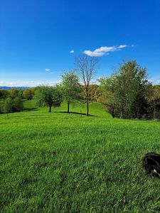 5076 Pine Grove Rd, Ballard, WV, 24918