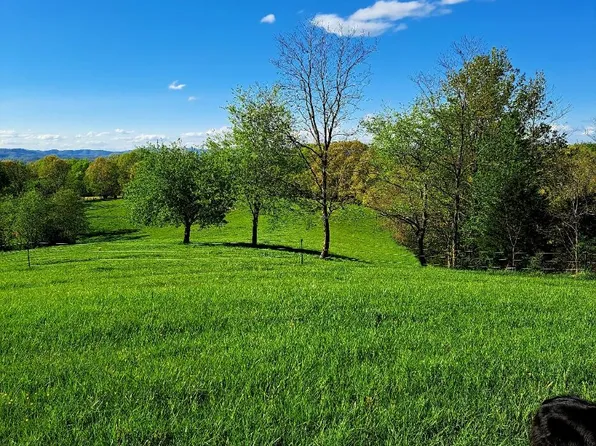 5076 Pine Grove Rd, Ballard, WV 24918