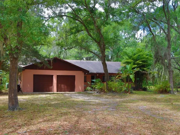 15414 E Lake Burrell Dr, Lutz, FL 33549
