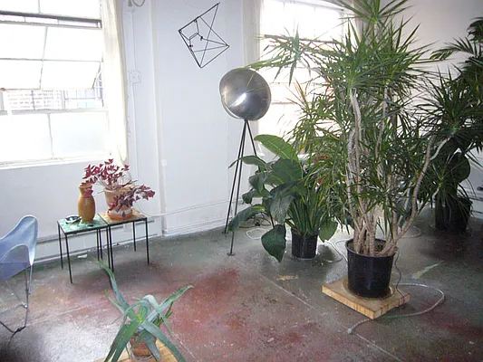 Rented by Weichert Properties - NYC | media 49