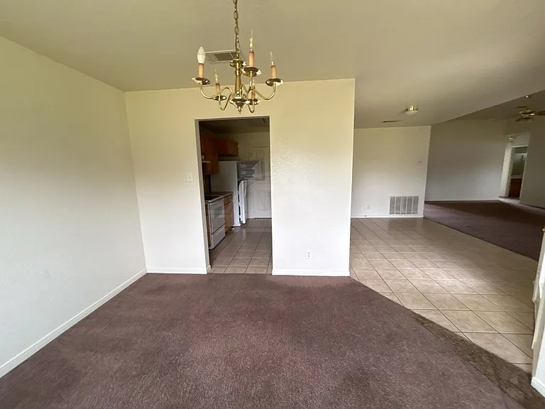 5001 Morning Star Ln — Photo 17
