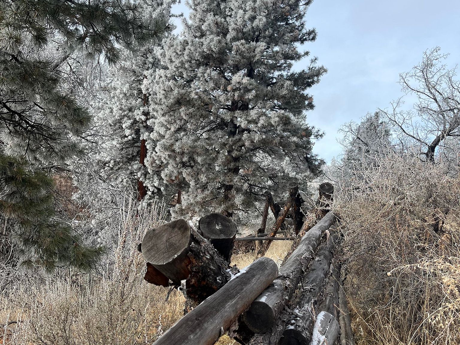 0 Portuguese Canyon Rd, Kimberly, OR 97848 Zillow