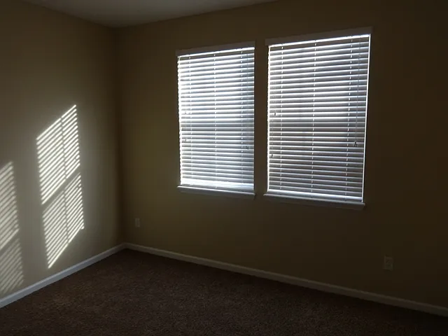 3901 Ringneck Dr — Photo 4