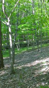 676 Raccoon Ct, Bushkill, PA, 18324