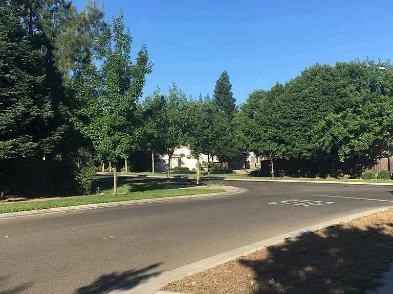 1297 Catalina Dr — Photo 5