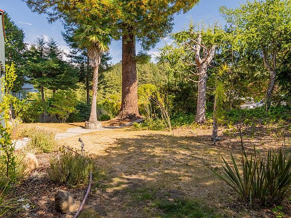 5th image of 503 Carbonera Dr