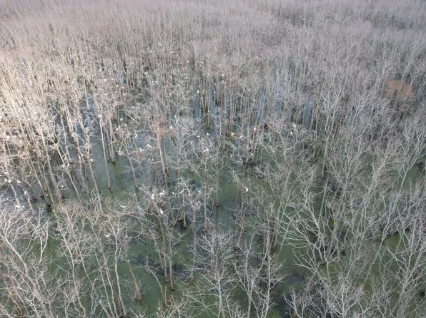 167 Cr, Itta Bena, MS 38941