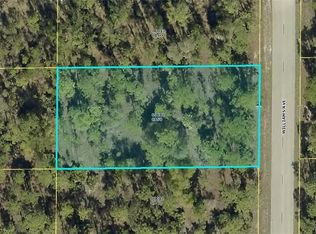1305 Williams Ave, Lehigh Acres, FL 33972