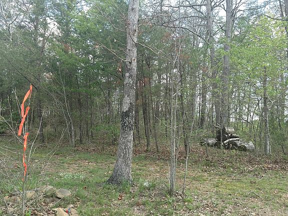 4th image of Knollwood Trl