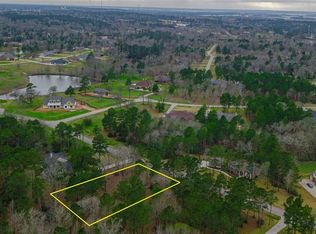 14768 Turquoise Trl, Willis, TX 77378