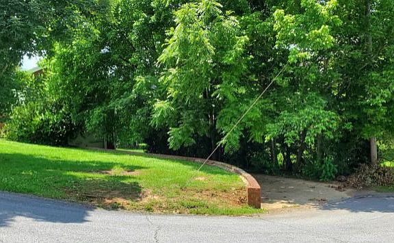 2nd image of 108 Hedge Dr