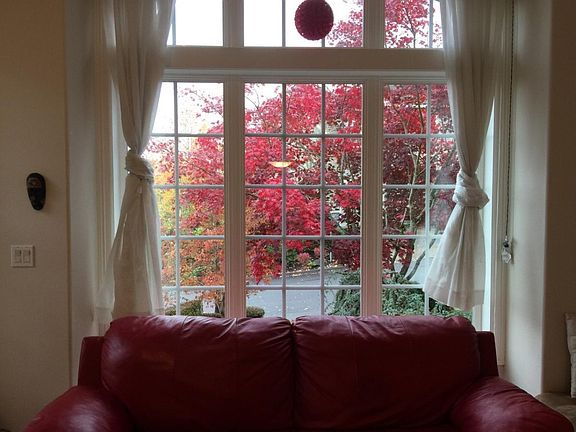 from lounge see street