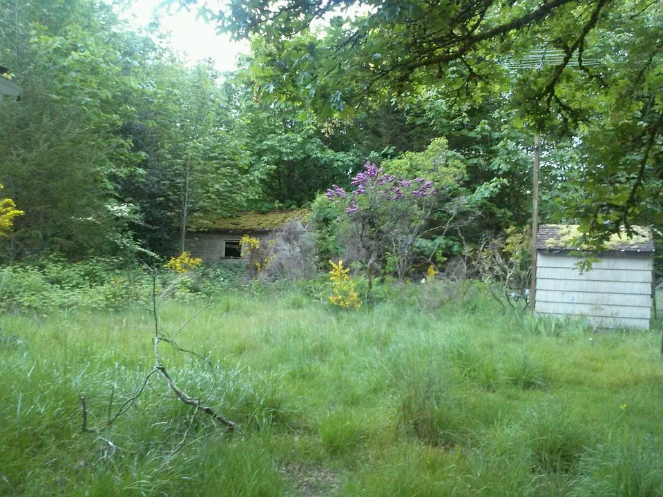 2nd image of 6202 38th Ave NW