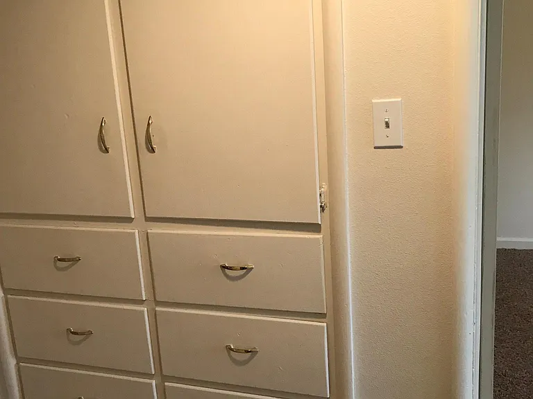 Ceiling to Floor Storage is found within the hallway.