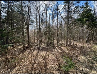 74 Antler Loop, West Dover, VT, 05356