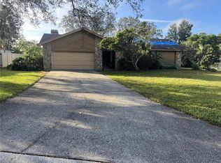 1315 Cambron Dr, Valrico, FL 33596