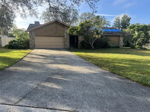 1315 Cambron Dr, Valrico, FL 33596