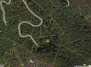 1020 Country Mountain Rd, Cosby, TN 37722