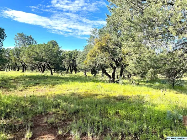 Xx Sanctuary Rd, Silver City, NM 88061