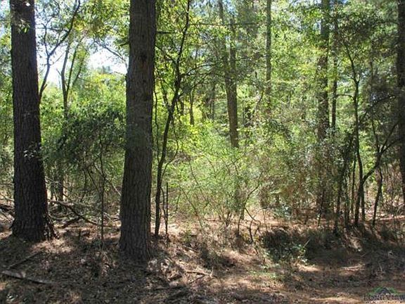 2nd image of Tbd Graystone Rd