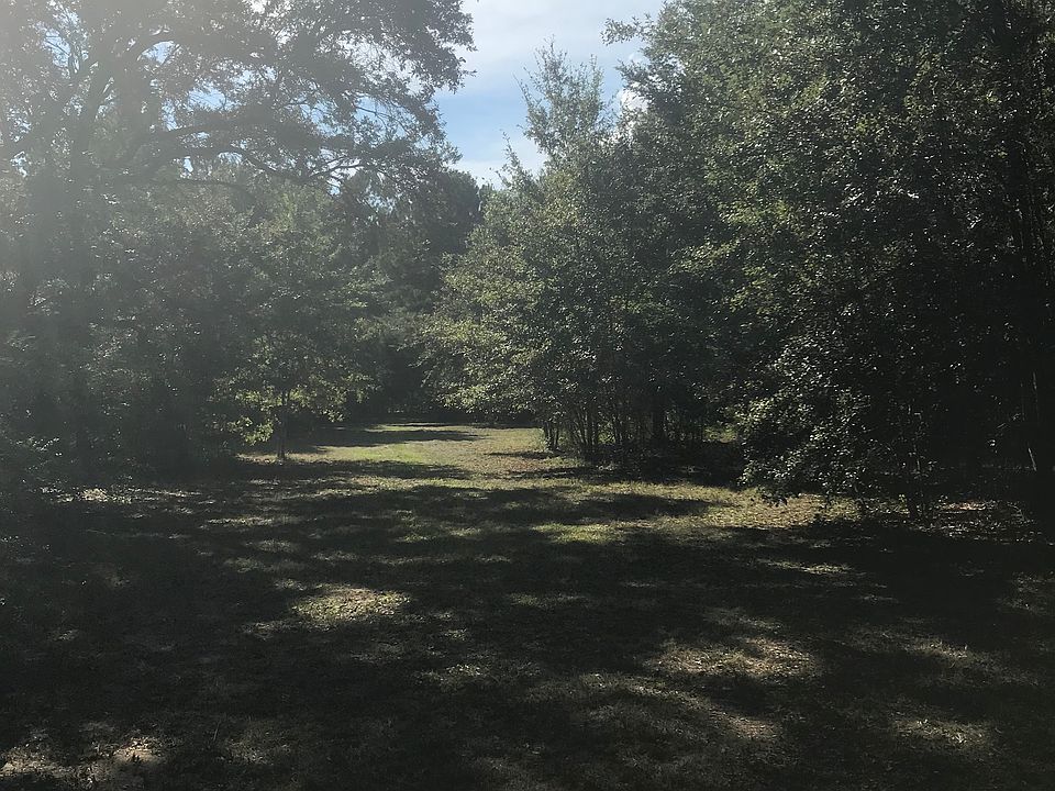 Privacy due to mature oaks