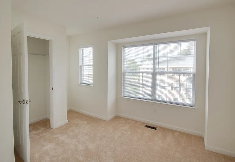 Large Windows and Walk-in Closet