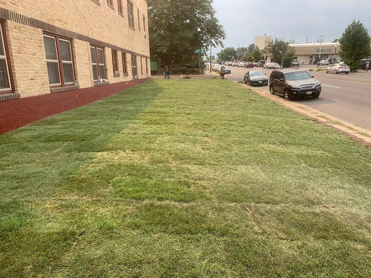 New Grass yard! - 3758 Eliot St #9