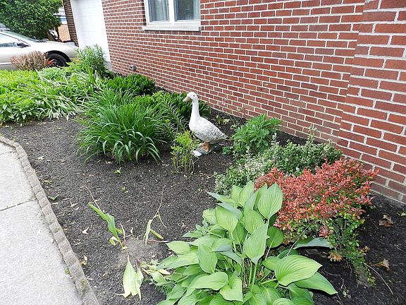 3rd image of 3205 Lotz Dr