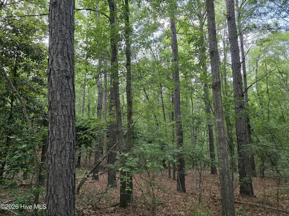 6 Acres Woodberry Lane, North Augusta, SC 29841