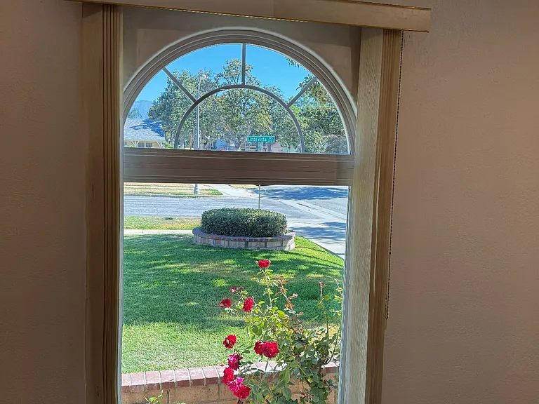 Living room window view