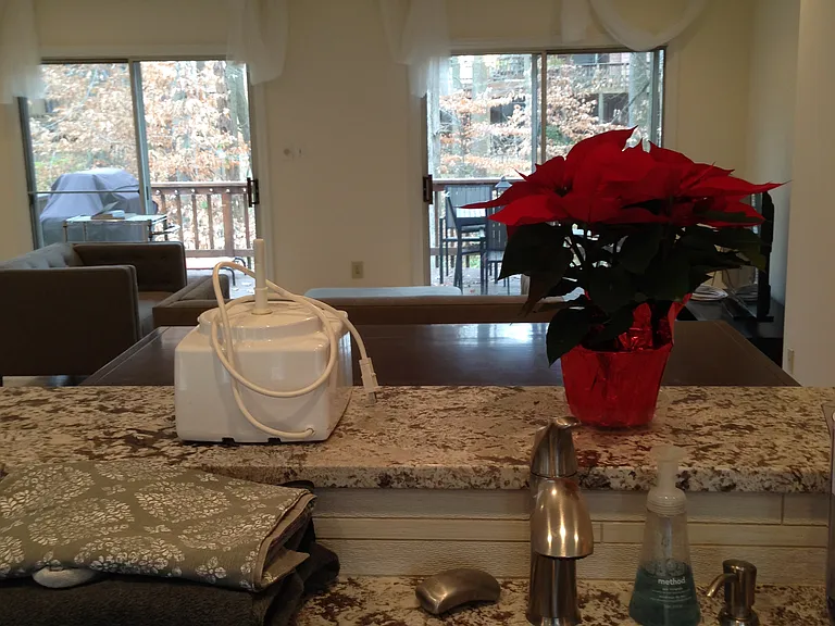 10651 Pine Haven Ter — Photo 15