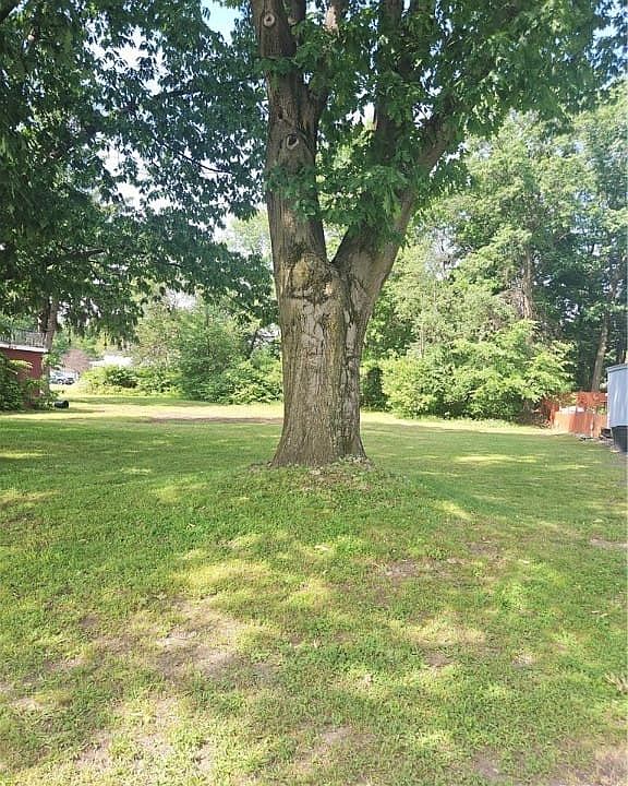 2nd image of 1107 Seneca St